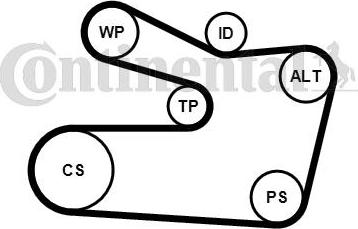 Continental 6PK1733WP1 - Su nasosu + V-yivli kəmər dəsti furqanavto.az
