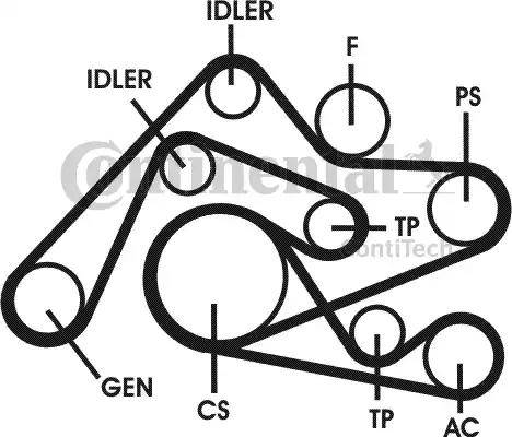 Continental 6PK2404D1 - V-yivli kəmər dəsti furqanavto.az
