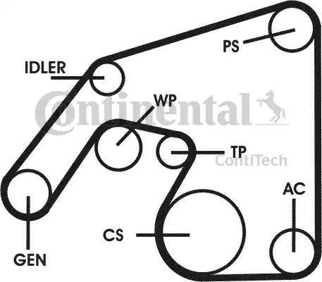 Continental 6PK-2271-D2 - V-yivli kəmər furqanavto.az