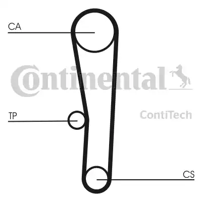 Continental CT1062 - Vaxt kəməri furqanavto.az