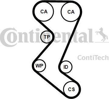 CONTITECH CT 1019 - Vaxt kəməri furqanavto.az