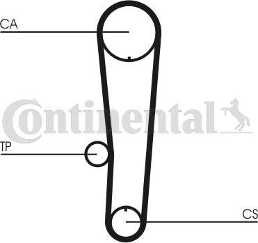 CONTITECH CT 1017 - Vaxt kəməri furqanavto.az