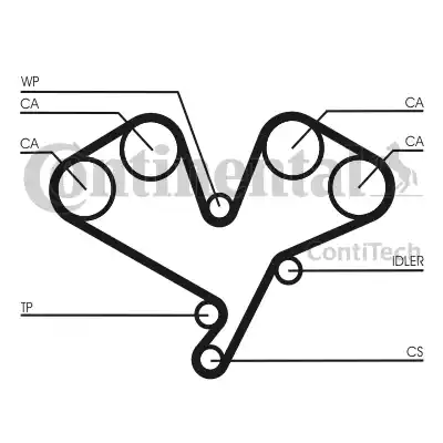 Continental CT1113 - Vaxt kəməri furqanavto.az