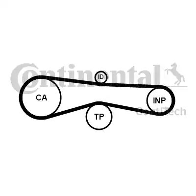 Continental CT1131 - Vaxt kəməri furqanavto.az