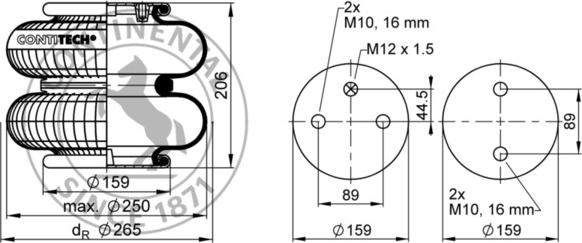 Contitech AIR Spring FD 200-19 P04 - Körük, pnevmatik asqı furqanavto.az