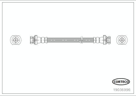 Corteco 19036996 - Əyləc şlanqı furqanavto.az