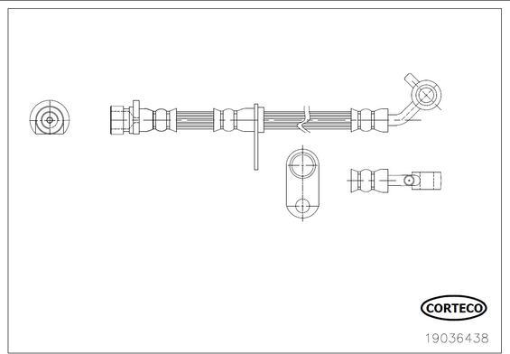 Corteco 19036438 - Əyləc şlanqı furqanavto.az