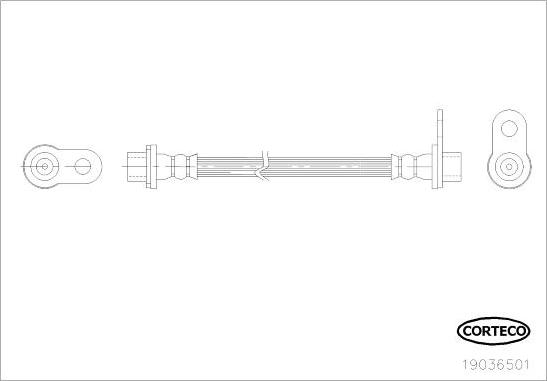 Corteco 19036501 - Əyləc şlanqı furqanavto.az