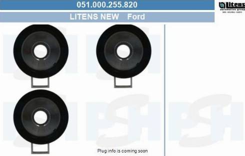 PSH 051.000.255.820 - Kasnak, alternator, sərbəst dönərli mufta furqanavto.az