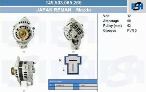 PSH 145.503.065.265 - Alternator furqanavto.az