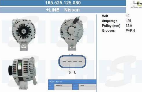 PSH 165.525.125.080 - Alternator furqanavto.az