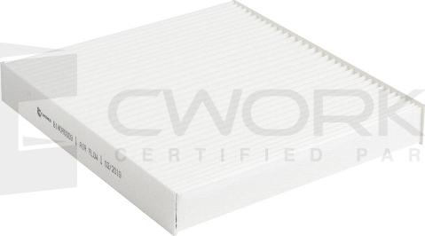 Cworks B140R0009 - Filtr, daxili hava furqanavto.az