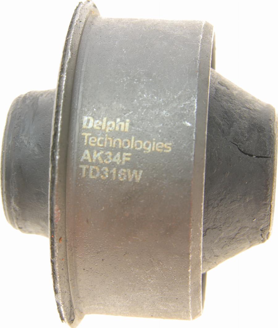 Delphi TD316W - Nəzarət Kolu / Arxa Qol furqanavto.az