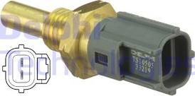 Delphi TS10505 - Sensor, soyuducu suyun temperaturu furqanavto.az
