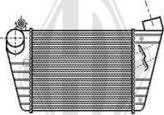 Diederichs DCA1062 - Intercooler, şarj cihazı furqanavto.az