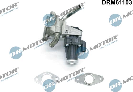 Dr.Motor Automotive DRM61103 - EGR Valf furqanavto.az