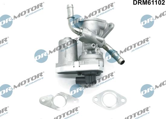 Dr.Motor Automotive DRM61102 - EGR Valf furqanavto.az