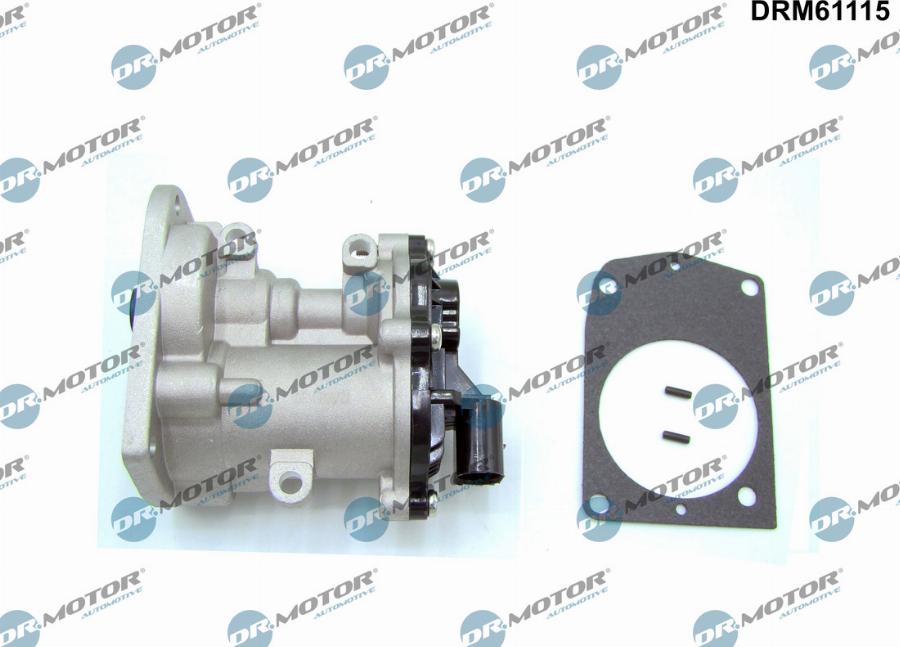 Dr.Motor Automotive DRM61115 - EGR Valf furqanavto.az