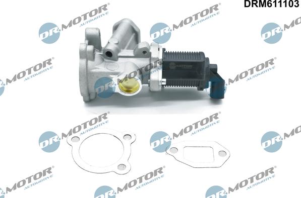 Dr.Motor Automotive DRM611103 - EGR Valf furqanavto.az