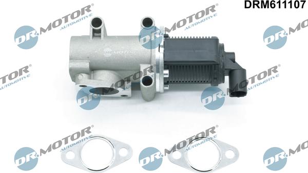 Dr.Motor Automotive DRM611107 - EGR Valf furqanavto.az