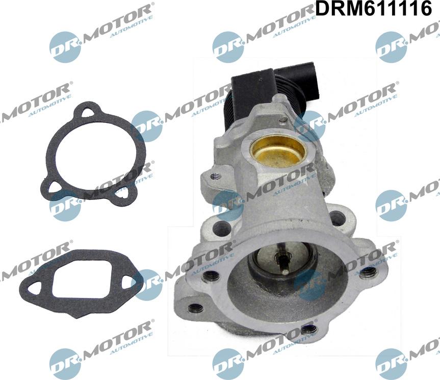 Dr.Motor Automotive DRM611116 - EGR Valf furqanavto.az