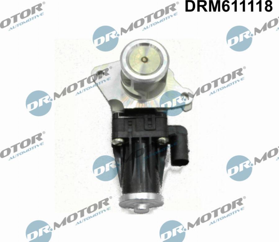 Dr.Motor Automotive DRM611118 - EGR Valf furqanavto.az