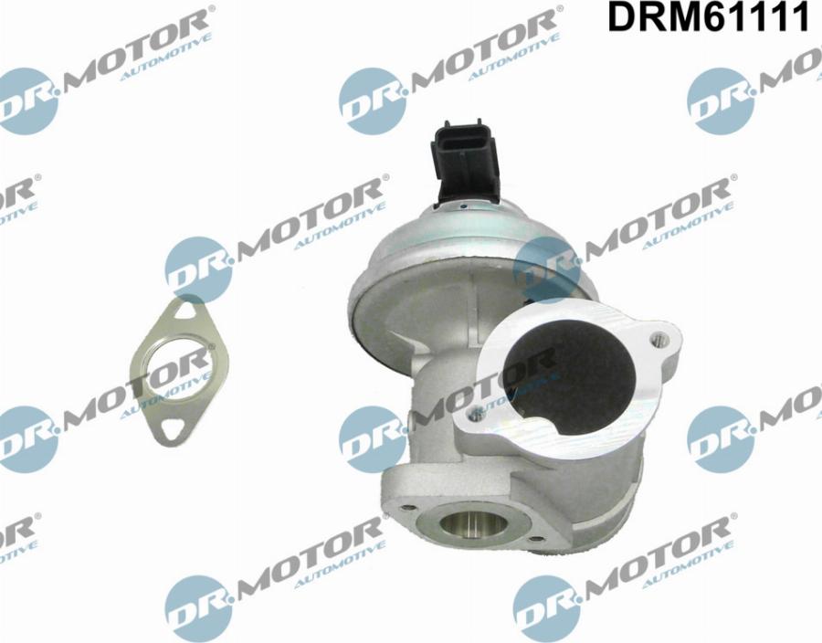 Dr.Motor Automotive DRM61111 - EGR Valf furqanavto.az