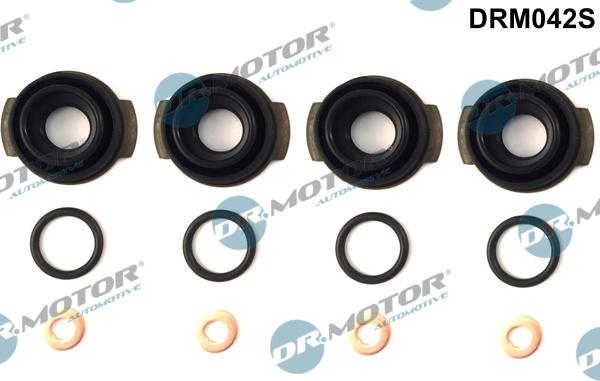 Dr.Motor Automotive DRM042S - Mühür dəsti, injektor ucluğu furqanavto.az