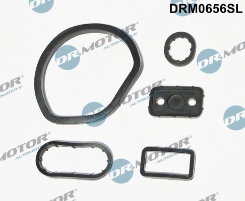 Dr.Motor Automotive DRM0656SL - Conta dəsti, yağ soyuducu furqanavto.az