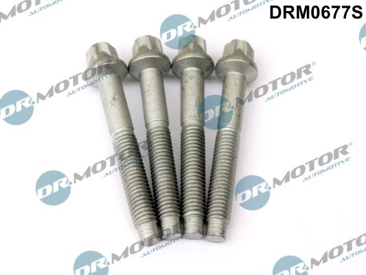 Dr.Motor Automotive DRM0677S - Vida, enjeksiyon ucun tutacağı furqanavto.az