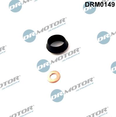 Dr.Motor Automotive DRM0149 - Mühür dəsti, injektor ucluğu furqanavto.az