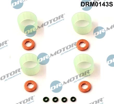 Dr.Motor Automotive DRM0143S - Mühür dəsti, injektor ucluğu furqanavto.az