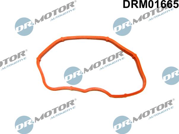 Dr.Motor Automotive DRM01665 - Conta, suqəbuledici manifold furqanavto.az