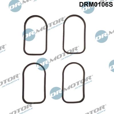 Dr.Motor Automotive DRM0106S - Conta dəsti, suqəbuledici manifold furqanavto.az