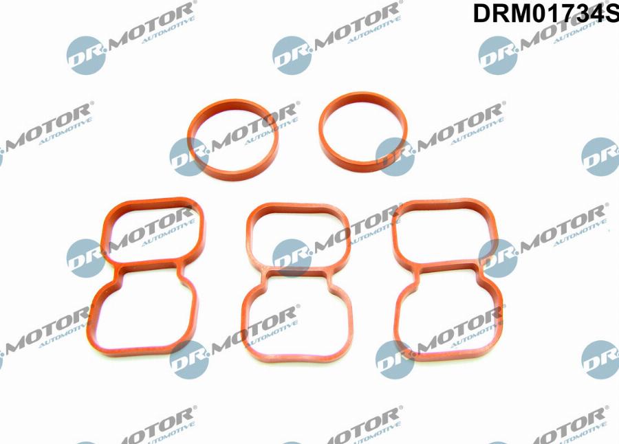 Dr.Motor Automotive DRM01734S - Conta, silindr başlığı furqanavto.az