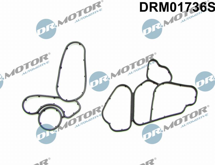 Dr.Motor Automotive DRM01736S - Conta dəsti, yağ soyuducu furqanavto.az