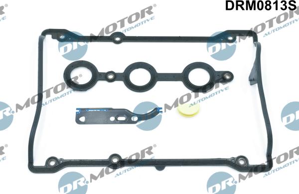 Dr.Motor Automotive DRM0813S - Conta dəsti, silindr baş örtüyü www.furqanavto.az