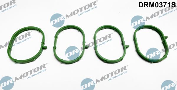 Dr.Motor Automotive DRM0371S - Conta dəsti, suqəbuledici manifold furqanavto.az