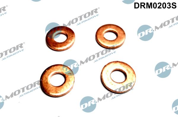 Dr.Motor Automotive DRM0203S - Mühür dəsti, injektor ucluğu furqanavto.az