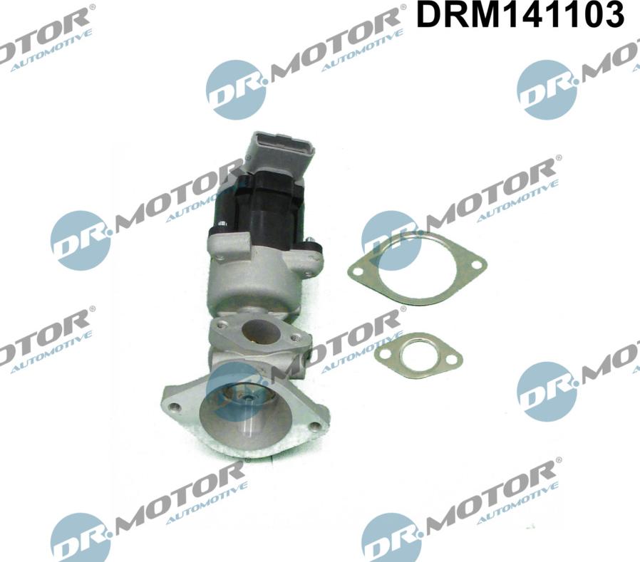Dr.Motor Automotive DRM141103 - EGR Valf furqanavto.az