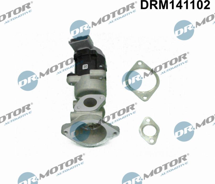 Dr.Motor Automotive DRM141102 - EGR Valf furqanavto.az