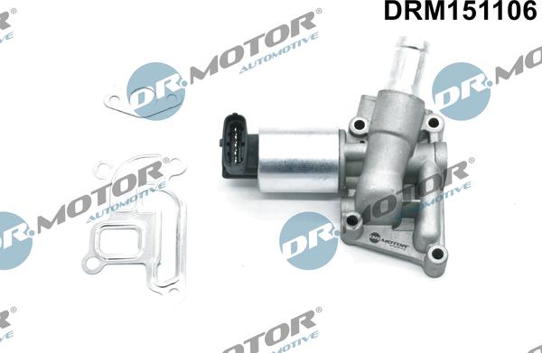 Dr.Motor Automotive DRM151106 - EGR Valf furqanavto.az