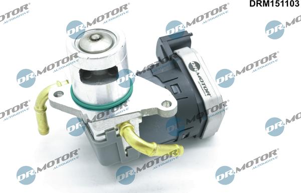 Dr.Motor Automotive DRM151103 - EGR Valf furqanavto.az