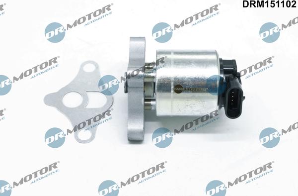 Dr.Motor Automotive DRM151102 - EGR Valf furqanavto.az