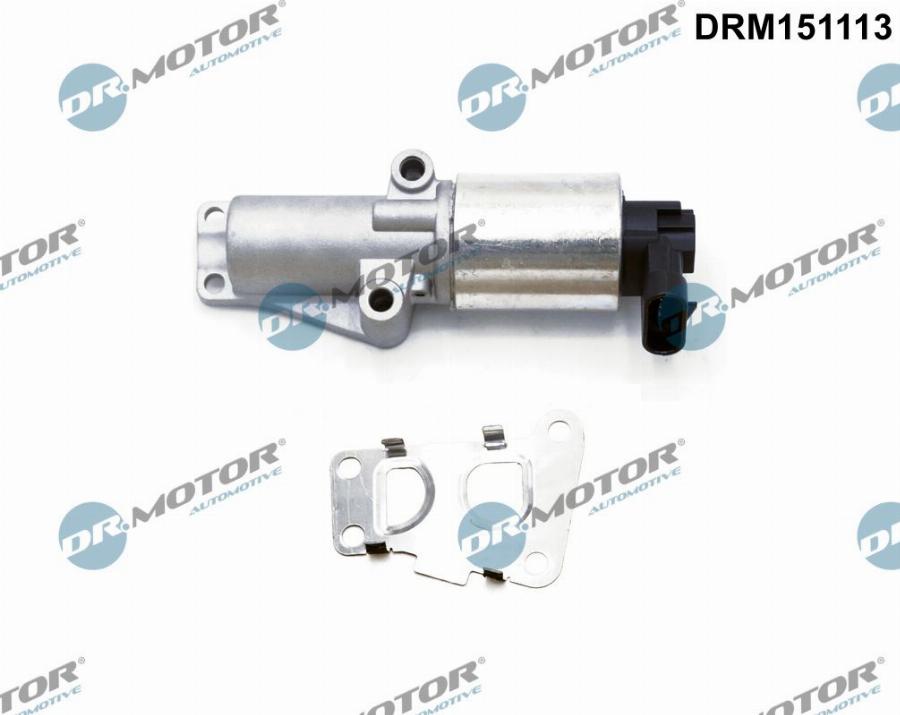 Dr.Motor Automotive DRM151113 - EGR Valf furqanavto.az