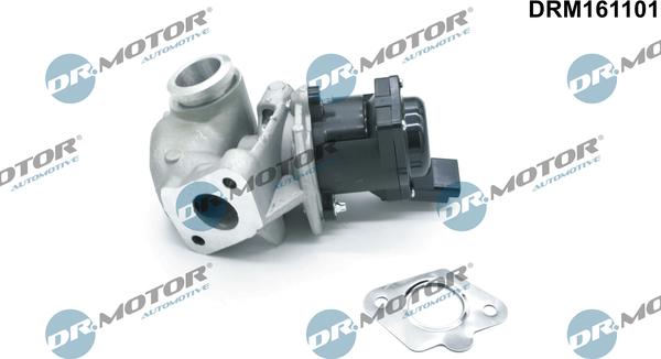 Dr.Motor Automotive DRM161101 - EGR Valf furqanavto.az