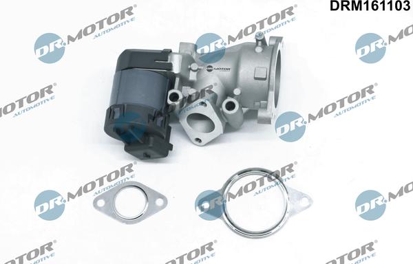 Dr.Motor Automotive DRM161103 - EGR Valf furqanavto.az