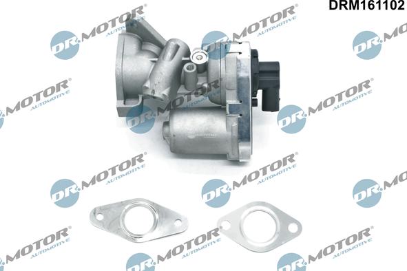 Dr.Motor Automotive DRM161102 - EGR Valf furqanavto.az