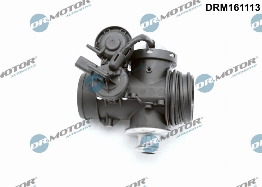 Dr.Motor Automotive DRM161113 - EGR Valf furqanavto.az