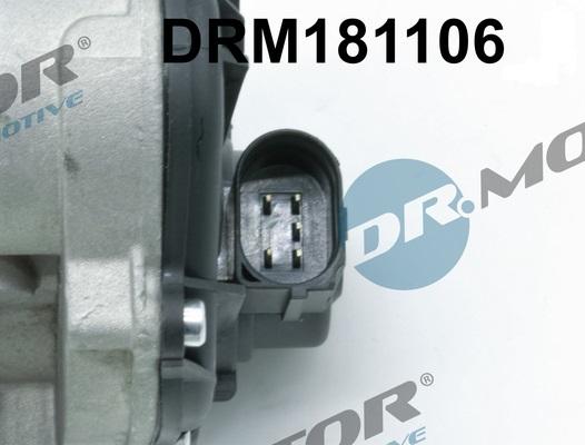 Dr.Motor Automotive DRM181106 - EGR Valf furqanavto.az